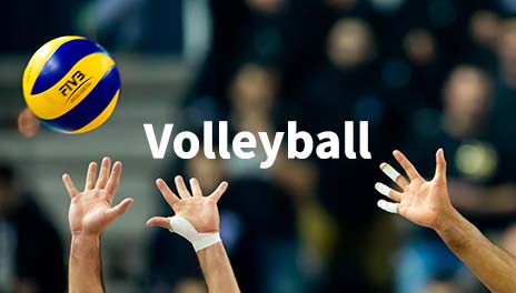 volleyball