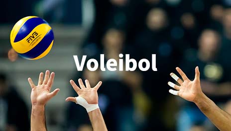 voleybol