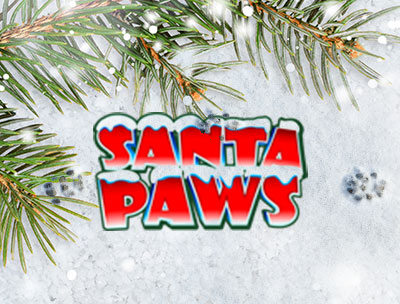 Santa Paws